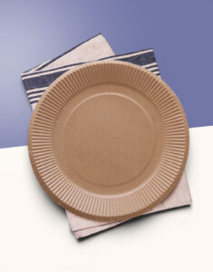 Custom Paper Plates Wholesale